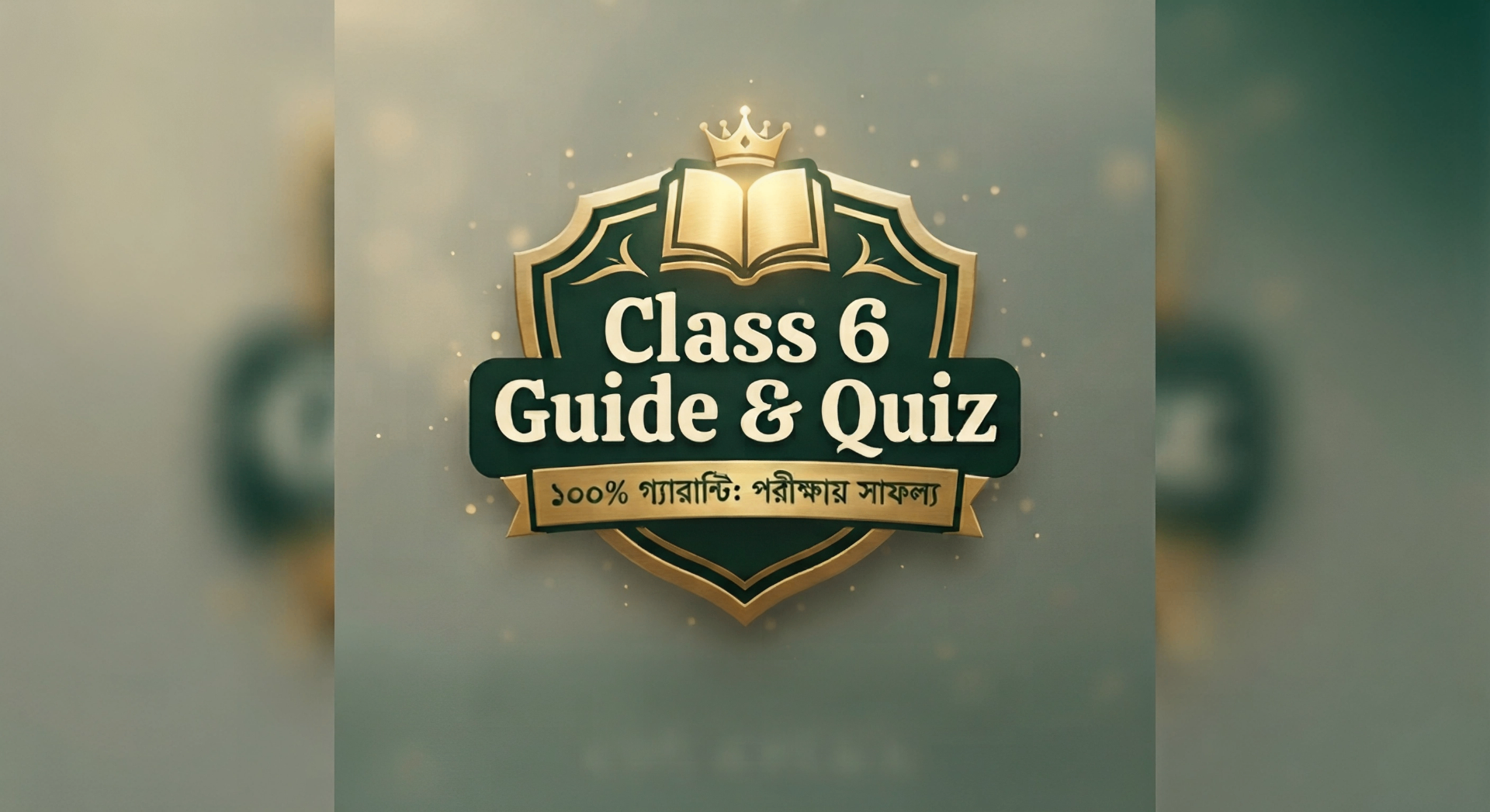 Class 6 Guide & Quiz লোগো